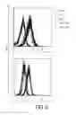 Fig. 04 - COMPOSITIONS AND METHODS RELATING TO C5L2