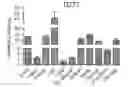 Fig. 01 - COMPOSITIONS AND METHODS FOR PREVENTING BONE LOSS AND/OR STIMULATING BONE HEALING