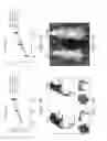 Fig. 03 - COMPOSITIONS AND METHODS FOR PREVENTING BONE LOSS AND/OR STIMULATING BONE HEALING