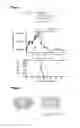 Fig. 07 - Methods of treating malignant tumour with IL-12 and anti-PD-1 antibody