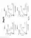 Fig. 13 - Polypeptides modulating SIGLEC dependent immune responses