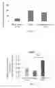 Fig. 02 - USE OF EARTHWORM PROTEIN FOR PREPARING PHARMACEUTICAL COMPOSITION FOR PROTECTION OF BRAIN NEURONS