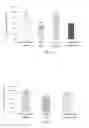 Fig. 04 - USE OF EARTHWORM PROTEIN FOR PREPARING PHARMACEUTICAL COMPOSITION FOR PROTECTION OF BRAIN NEURONS
