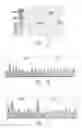 Fig. 11 - COMPOSITIONS AND METHODS FOR CELL TARGETED HPV TREATMENT