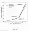 Fig. 20 - COMPOSITIONS AND METHODS FOR CELL TARGETED HPV TREATMENT