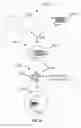 Fig. 22 - COMPOSITIONS AND METHODS FOR CELL TARGETED HPV TREATMENT