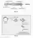 Fig. 33 - COMPOSITIONS AND METHODS FOR CELL TARGETED HPV TREATMENT