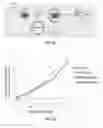 Fig. 35 - COMPOSITIONS AND METHODS FOR CELL TARGETED HPV TREATMENT