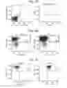 Fig. 06 - Indoleamine 2,3-dioxygenase based immunotherapy