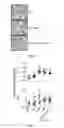 Fig. 04 - Composition and method for generating immunity to 