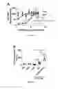 Fig. 05 - Composition and method for generating immunity to 