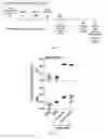 Fig. 09 - Composition and method for generating immunity to 