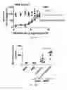 Fig. 10 - Composition and method for generating immunity to 