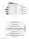 Fig. 71 - Optimized HIV envelope gene and expression thereof
