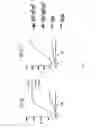 Fig. 75 - Optimized HIV envelope gene and expression thereof