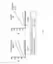 Fig. 91 - Optimized HIV envelope gene and expression thereof