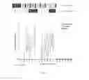 Fig. 97 - Optimized HIV envelope gene and expression thereof