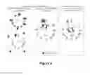 Fig. 03 - HIV pre-immunization and immunotherapy