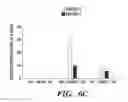 Fig. 09 - ENHANCEMENT OF THE IMMUNE RESPONSE