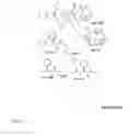 Fig. 06 - Derivatized hyperbranched polyglycerols