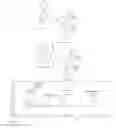 Fig. 13 - Derivatized hyperbranched polyglycerols