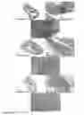 Fig. 29 - Derivatized hyperbranched polyglycerols