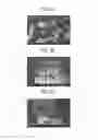 Fig. 03 - Method for preparing microcarriers, microcarriers, and application thereof