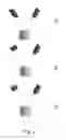 Fig. 04 - Synthetic compound
