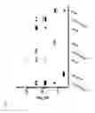 Fig. 03 - IMMUNOGENS, COMPOSITIONS, AND METHODS FOR TREATING DYSLIPIDEMIA