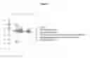 Fig. 06 - Cytotoxic particles for targeting P2X7 receptor