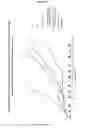Fig. 12 - Cytotoxic particles for targeting P2X7 receptor