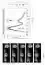 Fig. 06 - Nanoparticle-Based Method for Real-time Actuated Release and Monitoring of Cargos to Cells