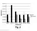 Fig. 04 - Drug delivery system based on JCV-VLP
