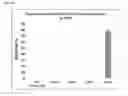 Fig. 37 - Compositions and methods for treating CEP290-associated disease