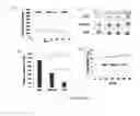 Fig. 07 - Aptamer compositions and methods of use thereof