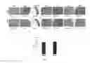 Fig. 09 - Aptamer compositions and methods of use thereof