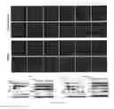 Fig. 14 - Aptamer compositions and methods of use thereof