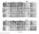 Fig. 18 - Aptamer compositions and methods of use thereof