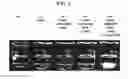 Fig. 03 - Methods for making ultrasound contrast agents