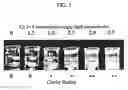 Fig. 04 - Methods for making ultrasound contrast agents