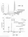 Fig. 02 - Compositions and methods for in vivo imaging