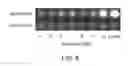 Fig. 07 - Compositions and methods for in vivo imaging