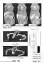 Fig. 08 - Compositions and methods for in vivo imaging
