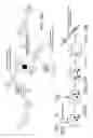 Fig. 16 - Compositions and methods for in vivo imaging