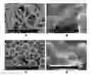 Fig. 01 - Extracellular Matrix-Derived Gels and Related Methods