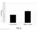 Fig. 13 - Extracellular Matrix-Derived Gels and Related Methods