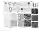 Fig. 01 - Three-Dimensional Tissue Matrix Scaffold System