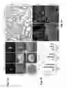Fig. 08 - Three-Dimensional Tissue Matrix Scaffold System