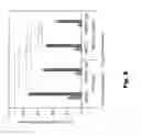Fig. 10 - Three-Dimensional Tissue Matrix Scaffold System
