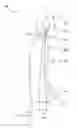 Fig. 01 - LARYNGEAL MASK ASSEMBLY